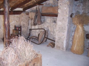 Cubo de José el Maroto donde se observa la elaboración del vino