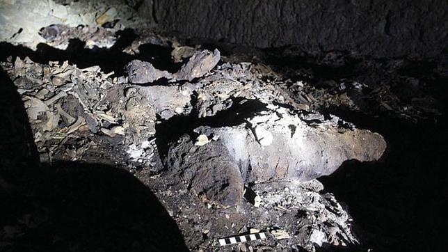 Los restos de una momia canina completa en una sección la catacumba Los restos de una momia canina completa en una sección la catacumba